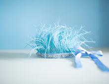 Load image into Gallery viewer, Feather Jewelled Crown - Blue